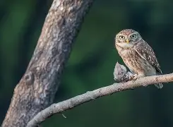 开云娱乐-鲬Y瞶)殔偅,D佁(鰔鱼百度百科)